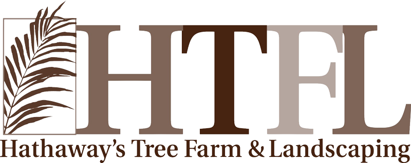 Hathaways Tree Farm Landscaping